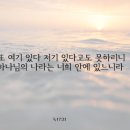 부흥한국