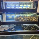 신촌초교 | 부평보양식 완도 활전복이 통째로! 국물이 끝내주는 해목정 부평점 솔직후기