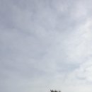 장고도마을회관 이미지