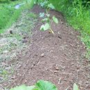 소만농장 이미지