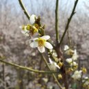 꿈이익는영농조합법인 이미지