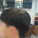 미소짓는수선