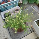 억불산민박 이미지