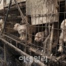 낙동강변23 이미지