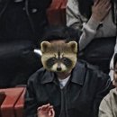 오정식물원 | [일상] 26.4-2 : 꽃 사진 잔뜩 모아