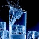 머슬드래곤짐 이미지