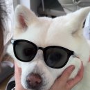 운악산 화장실1 이미지