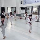 선도키즈태권도장