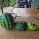 현서농장 이미지