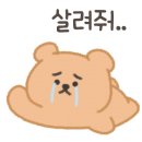 영어회화(야간) 이미지