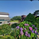 펜션파인씨 이미지