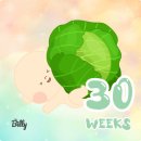 현미세탁소 이미지