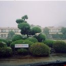 장흥용산중학교 이미지