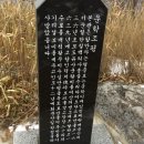 설보비 티스토리
