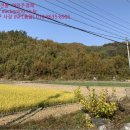 지례면 복지회관 이미지