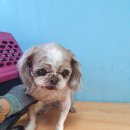 중앙시장로 이미지