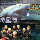 아쿠아리움 이미지