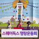 스퀘어독스 롯데남악점 네이버블로그