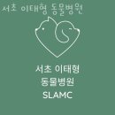 서초 이태형 동물병원 네이버블로그