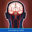윌스기념병원_하 이미지