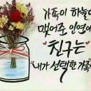 폴리체 이미지