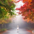 천안의 가을 가볼 만한 곳, 미식과 자연이 어우러진 풍경 이미지