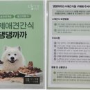 댕댕까까 이미지