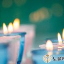 태평서울병원 이미지