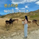 하이츠파크 | 뉴질랜드 퀸스타운 동물원 디어파크하이츠 예약 입장료 소요시간 후기