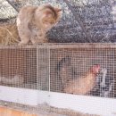 예림하우스 이미지