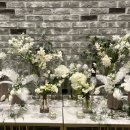 다르미앙 이미지