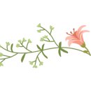 피아트라