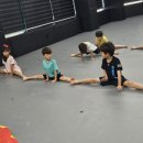 계명대 힘찬 태권도장 이미지