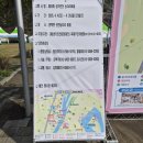 낭만 Dog | [진천 농다리축제 실시간 후기] 가수 이지훈 공연부터 90% 만개한 벚꽃까지