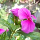 까치부동산중개사무소 이미지