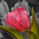 지호카센타 이미지