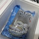 유한회사 신선
