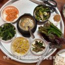 부산 주말 나들이 금강공원 차밭골보리밥 가성비 맛집 추천