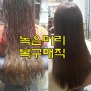 전미용실 네이버블로그