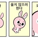 카페도운 이미지