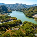 포천 모노레일(주) 이미지