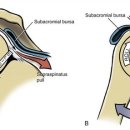 웅촌제일의원 이미지