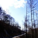 산안1리 티스토리