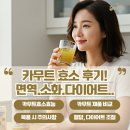 건점 | 카무트 효소 효능 후기! 면역·소화·다이어트까지 잡는 비밀