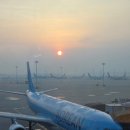 오후의 기상 | 기상악화 회항 여행자 보험 실비 지수형 차이 대한항공 인천국제공항 지연 보상 후기