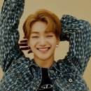 바른손더블유아이피