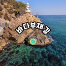 심곡어린이공원 | 강릉 정동진 가볼만한곳 <정동심곡 바다부채길> 돈내도 안 아까워!