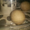 고노골농장 이미지