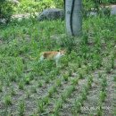 산꾼의집 | 복호산 지룡산 내원봉 삼계봉 후기