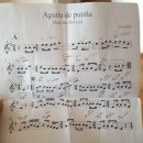 어깨동무신나는집 | [칠레 일상] ㊵ 피칠레무에서 인생 첫 서핑 도전! (+세상에서 제일 맛있는 엠빠나다)